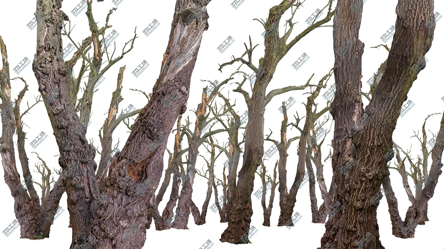 images/goods_img/202104023/Old Forest 2 ULTRA HD/1.jpg